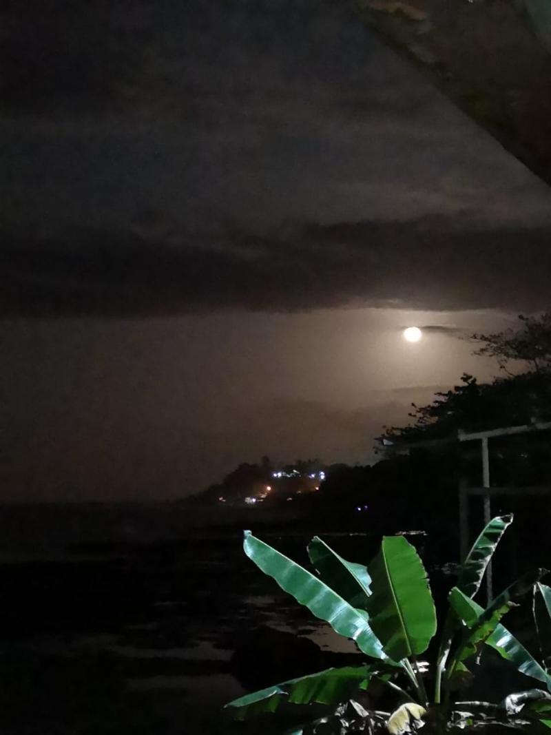 פוארטו לימון Hotel Playa Bonita מראה חיצוני תמונה
