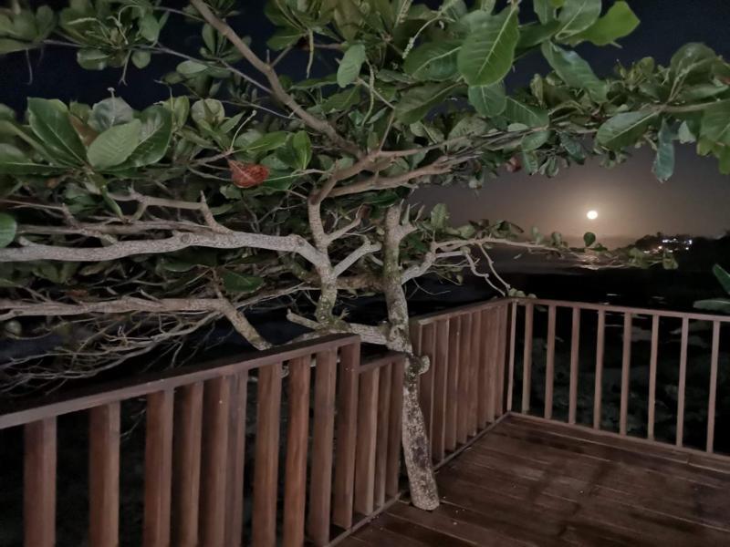 פוארטו לימון Hotel Playa Bonita מראה חיצוני תמונה